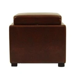 Safavieh Bobbi 17.00-in X 18.00-in Cordovan Faux Leather Storage Ottoman