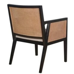 Plata Import Antonia Contemporary Upholstered Arm Chair With Wood Frame -Safavieh Shop 330987768 AlternateImage2 l