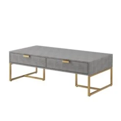 Nicole Miller Landan Matte Grey And Gold Faux Shagreen Coffee Table -Safavieh Shop 332001778 MainImage 001 l