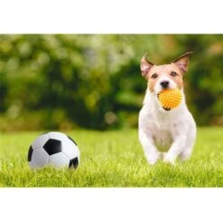 Naturae Decor Artificial Landscaping Grass 36-in X 156-in -Safavieh Shop 332005488 AlternateImage3 l