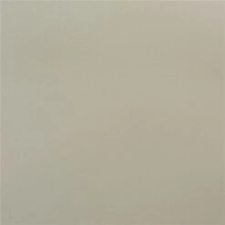 Baxton Studio Rae Beige Contemporary Side Chair With Plastic Frame - Set Of 4 -Safavieh Shop 332007600 AlternateImage4 l