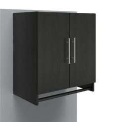 Systembuild Evolution Camberly 24-in Wall-mount Storage Cabinet With Hanging Rod In Black Oak -Safavieh Shop 332009451 MainImage 001 l